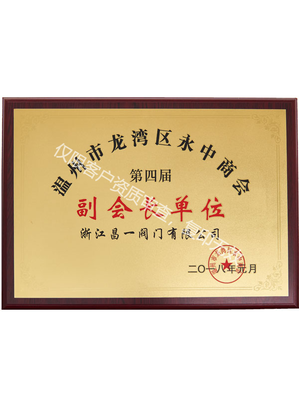 永中商會(huì)副會(huì)長單位 永中商會(huì)副會(huì)長單位